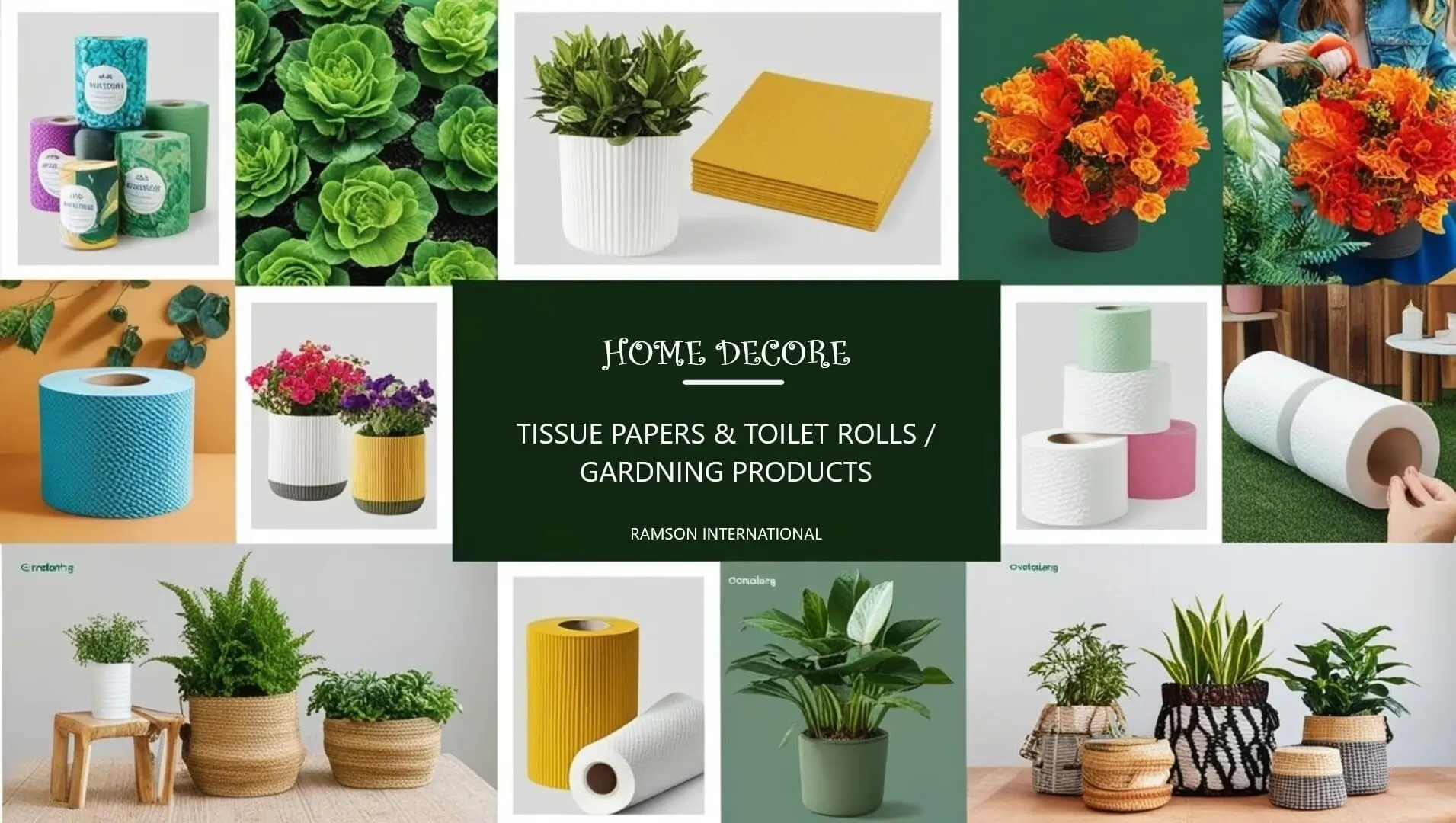 soft tissue paper, toilet rolls and eco-friendly disposable plates, cups.