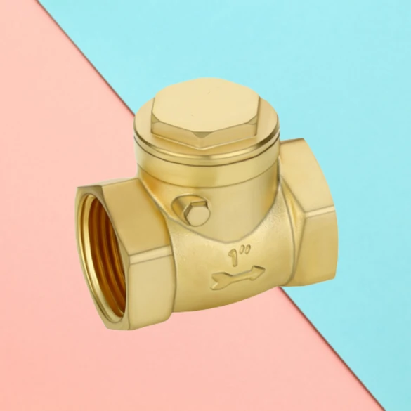 brass non return valve nrv.
